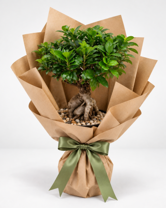 Bonsai Gift Bouquet with Green Ribbon (1)