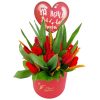 Red tulips in a Box