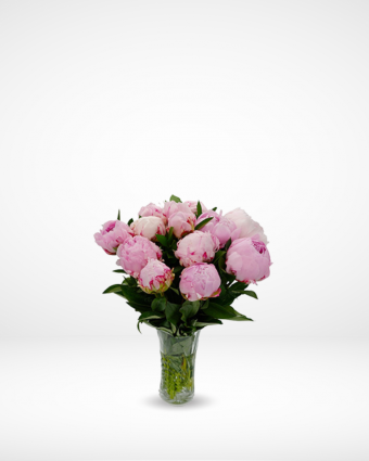 Baby Pink Peonies Bouquet