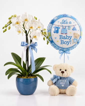 Baby Boy's Orchid