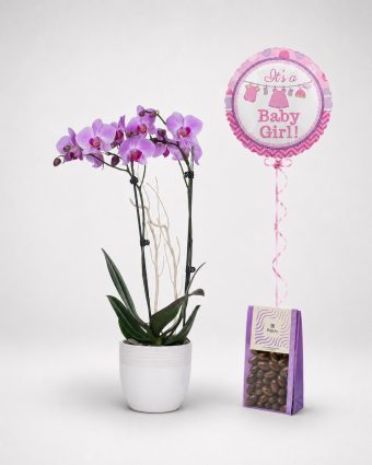 bundle 1.2.jpg (1)