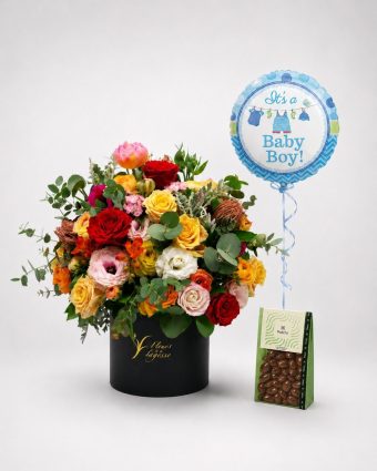 bundle 1.3.jpg (1)