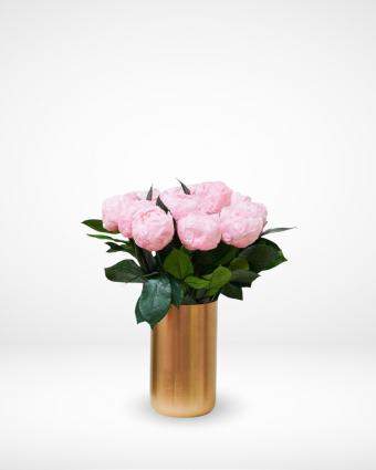 Sweet Peonies Whispers