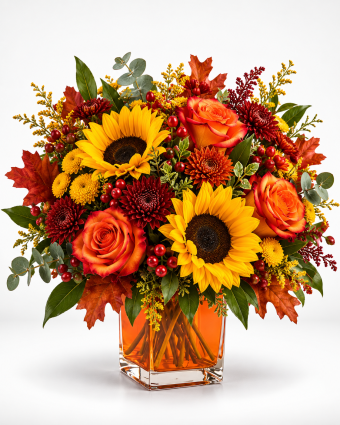 25 sunburst bloom