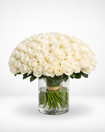 Ivory Rose Dome in Glass Vase (1)