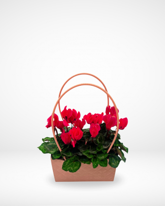 Cyclamen Pouch