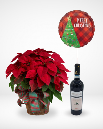 Holiday cheer bundle