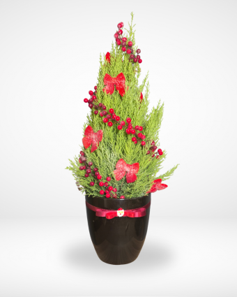 Red Ribbon Topiary