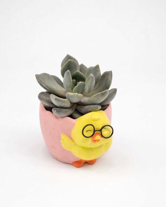 easter website 1.0