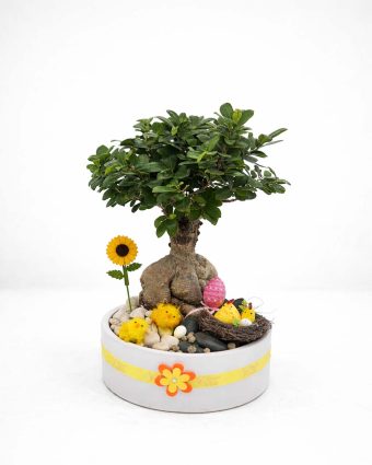 easter website 1.3