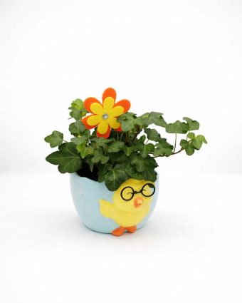 easter website 1.5