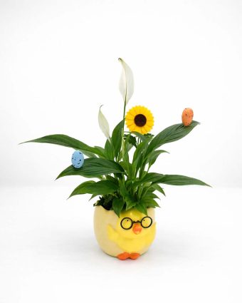 easter website 1.6