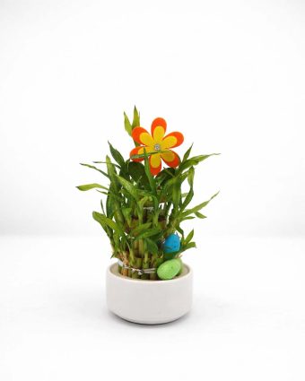 easter website 1.7