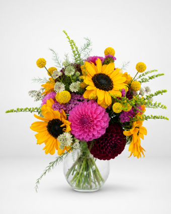 Sunny Dahlia