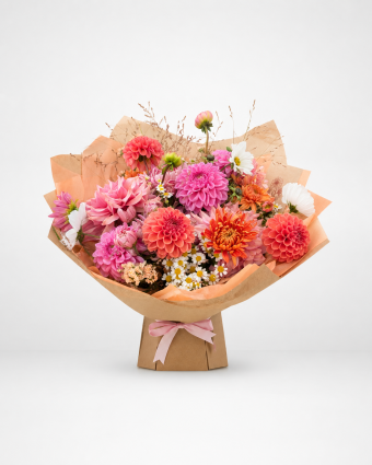 Dahlia Delight