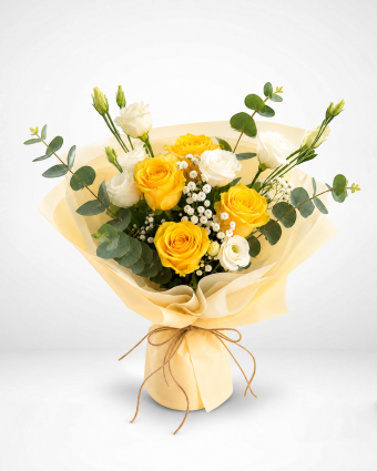 Golden Softness