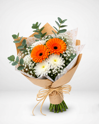 Orange Delight