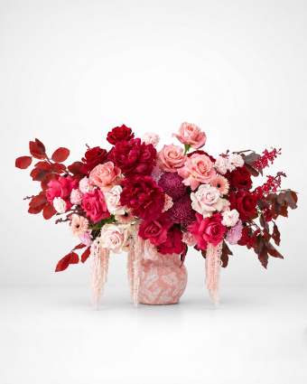 Velvet and Blush Radiance