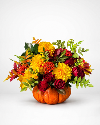 Pumpkin Harvest Blooms