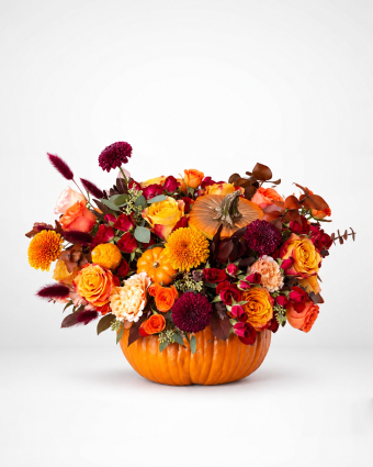 Autumn Pumpkin Delight