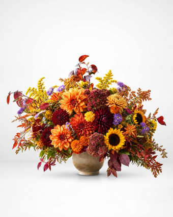 Autumn Sunset Garden